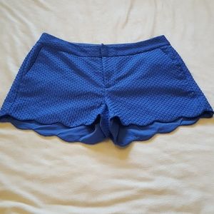 Royal Blue Shorts